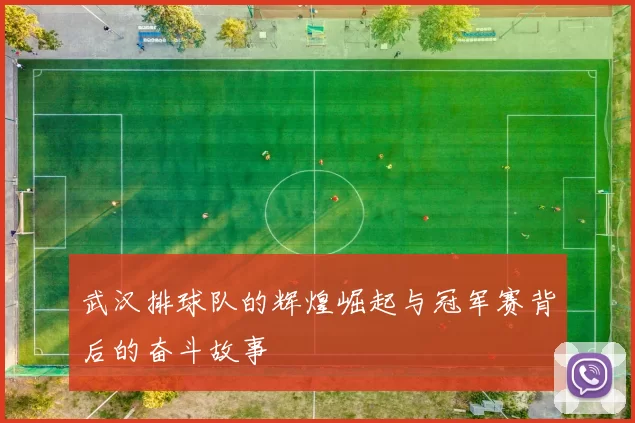 武汉排球队的辉煌崛起与冠军赛背后的奋斗故事