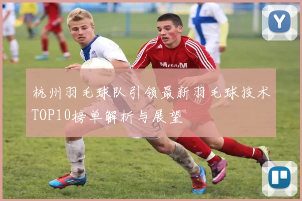 杭州羽毛球队引领最新羽毛球技术TOP10榜单解析与展望