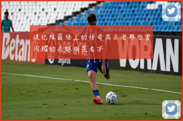 追忆绿茵场上的传奇离去者那些曾闪耀的足球明星名字