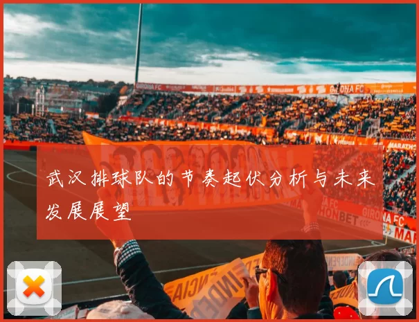 武汉排球队的节奏起伏分析与未来发展展望